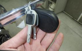 HARLEY FXBR1920 2024