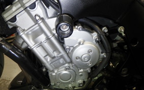 YAMAHA FZ1 FAZER 2008 RN21J