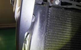 KAWASAKI Z250 2021 ER250C