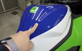 KAWASAKI ZX-4RR 2024 ZX400P