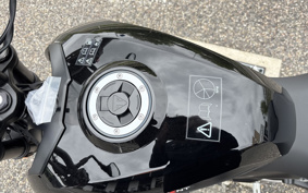 TRIUMPH TRIDENT 800 2026 L24P47