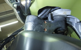 HONDA ZOOMER 2020 AF58