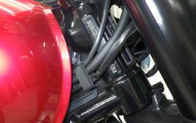TRIUMPH BONNEVILLE T120 2024