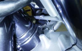 KAWASAKI ZEPHYR 750 2025