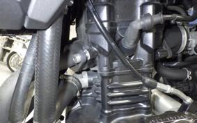 SUZUKI V-STROM 250 A 2024