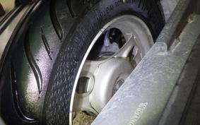 HONDA DIO CESTA GEN 2 AF68