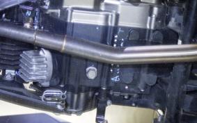 KAWASAKI Z125 PRO 2026 BR125H