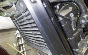 HONDA REBEL 1100 DCT 2022 SC83