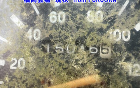 OTHER  QINGQUI BTL125