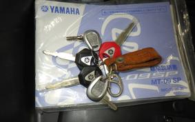 YAMAHA MT-09 ASP 2019 RN52J