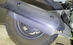 HONDA ZOOMER 2025 AF58