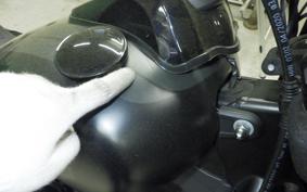 HARLEY FXFBS1870 2019