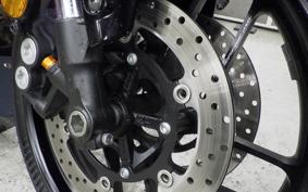 YAMAHA XSR900 GP 2024 RN96J