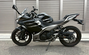 KAWASAKI NINJA 250 EX250P