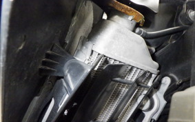 YAMAHA WR250X 2024 DG15J