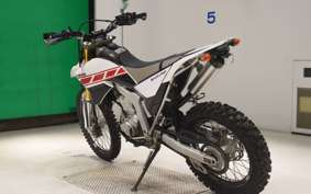 YAMAHA WR250R 2021 DG15J