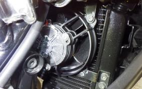 KTM 250 ADVENTURE 2020