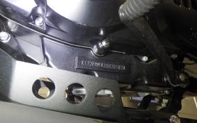 OTHER UNREGISTERED MODEL by BDS250 2019