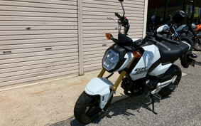 HONDA GROM JC92