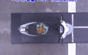 SUZUKI LET's 2