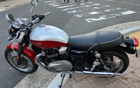 TRIUMPH BONNEVILLE T100 2020 DAD70G