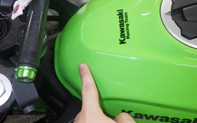 KAWASAKI NINJA 400 2018 EX400G