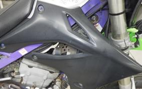 KAWASAKI KLX250 SR LX250E