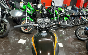 KAWASAKI W800 FE 2020 EJ800A