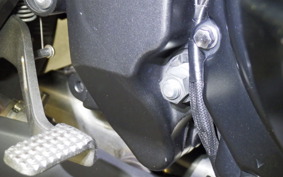 KAWASAKI Z1000 Gen.5 2019 ZXT00W