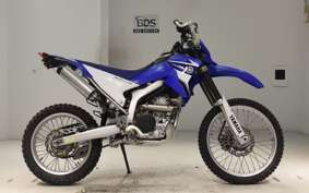 YAMAHA WR250R DG15J