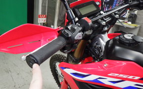 HONDA CRF250L 2017 MD47