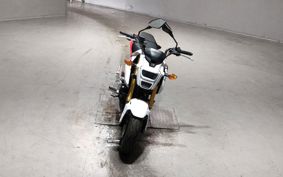 HONDA GU ROM JC75