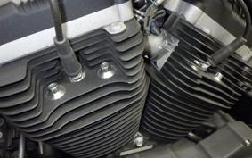 HARLEY XL883N 2010
