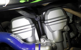 KAWASAKI KLX250D TRACKER X 2024 LX250V