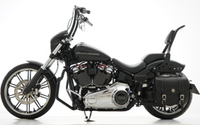 HARLEY FXBRS 2021 YHK