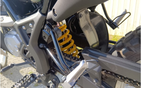YAMAHA WR155R DG37