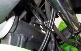 KAWASAKI NINJA 250 2001 EX250L