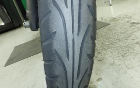 KAWASAKI NINJA 250 EX250P