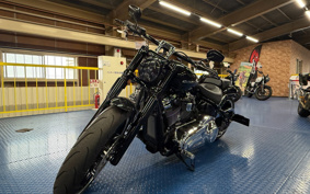 HARLEY FXBRS 2021 YHK