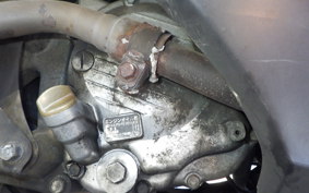 HONDA FORESIGHT EX MF04