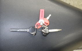HONDA LEAD 110 2010 JF19