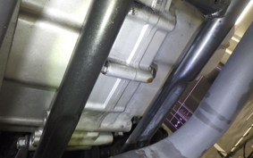 OTHER +GPX LEGEND250ﾌﾞﾗｲﾄﾝ 2025