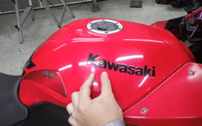 KAWASAKI NINJA 250R