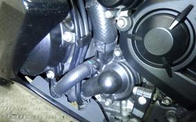 KAWASAKI NINJA H2 SX SE 2020
