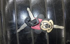 YAMAHA RZ 250 2013 4L3