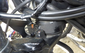 KAWASAKI W800 2017 EJ800A