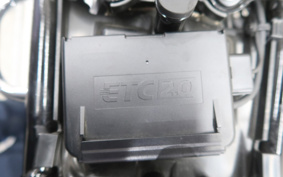 KAWASAKI W800 2023 EJ800E