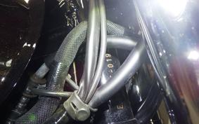 KAWASAKI W800 2024 EJ800E