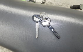 KAWASAKI SUPER SHERPA 2019 KL250G