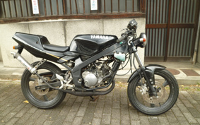 YAMAHA TZR50 4EU